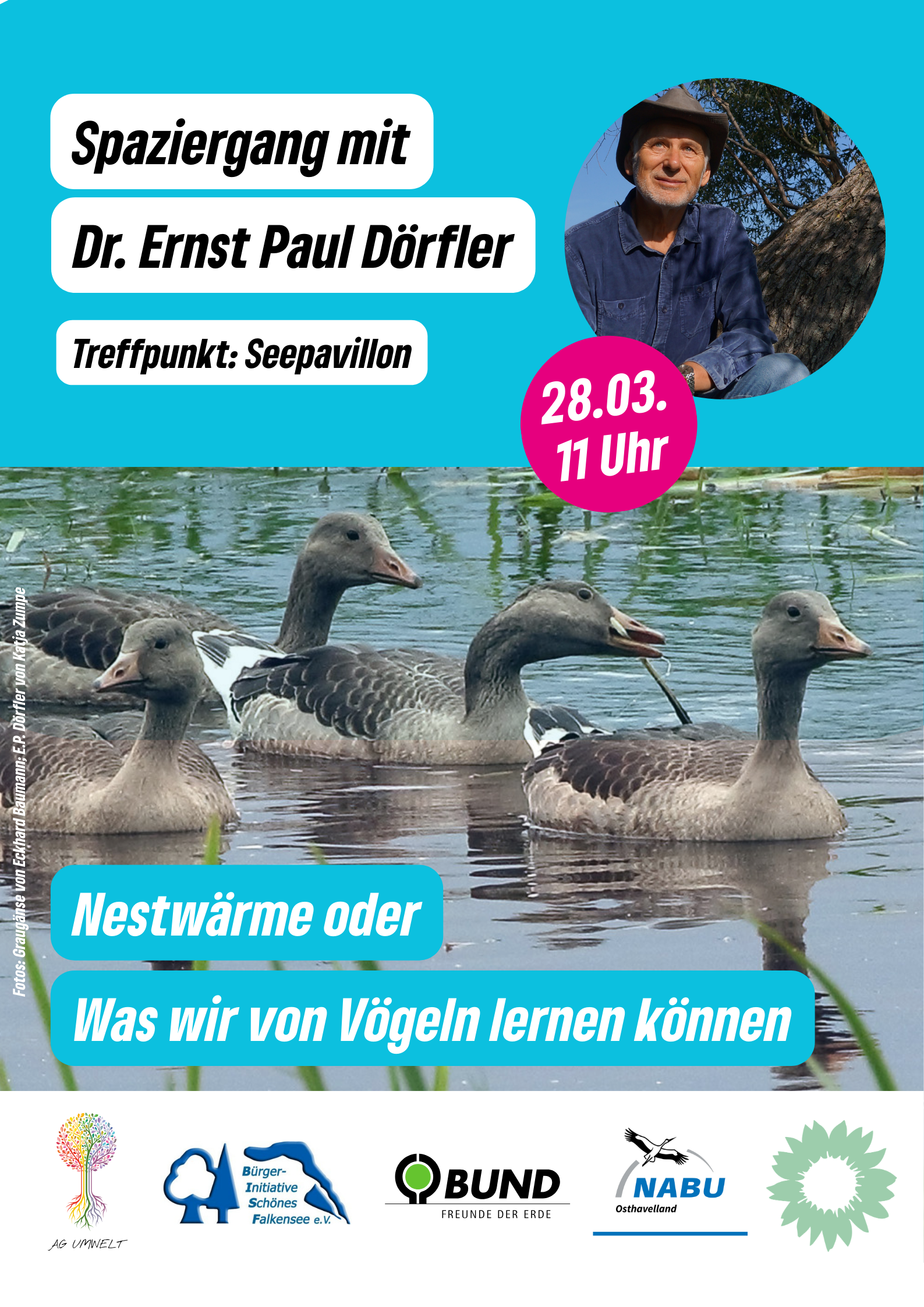 Nestwärme – Was wir von Vögeln lernen können
