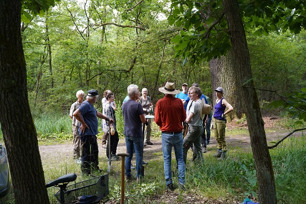 2. Pflegeaktion im FFH-Gebiet „Falkenseer Kuhlake“